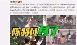 香港阿伯爆料视频大全集,揭秘幕后真相与民间视角